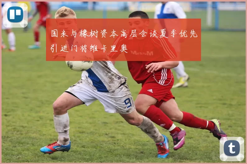 国米与橡树资本高层会谈夏季优先引进门将维卡里奥