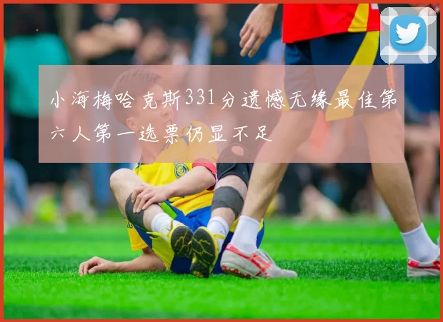 小海梅哈克斯331分遗憾无缘最佳第六人第一选票仍显不足